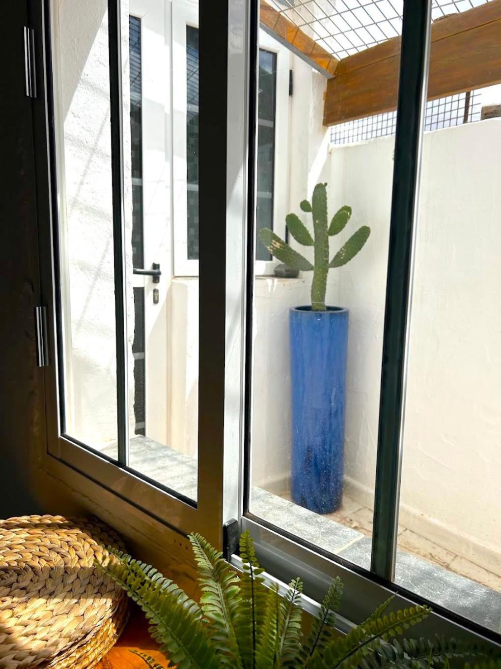 Casa Mialma Lanzarote Conil Exterior foto